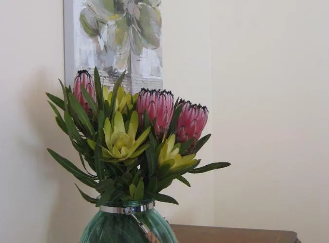 Prázdninový dům Casa Maresia- Sea View & Private Pool Ponta do Sol (Madeira)